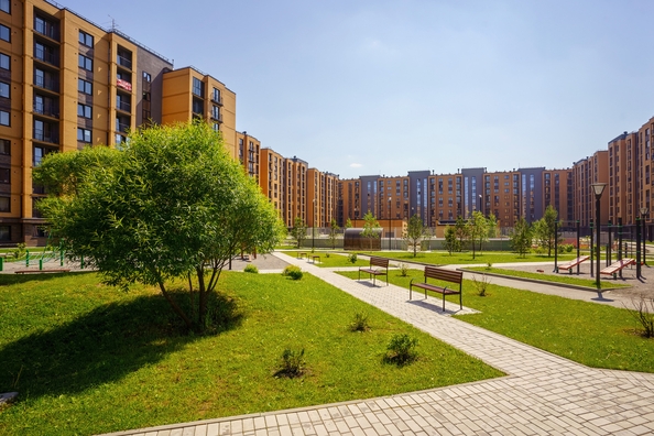 
   Продам 1-комнатную, 41.1 м², Василия Клевцова ул, 3

. Фото 10.