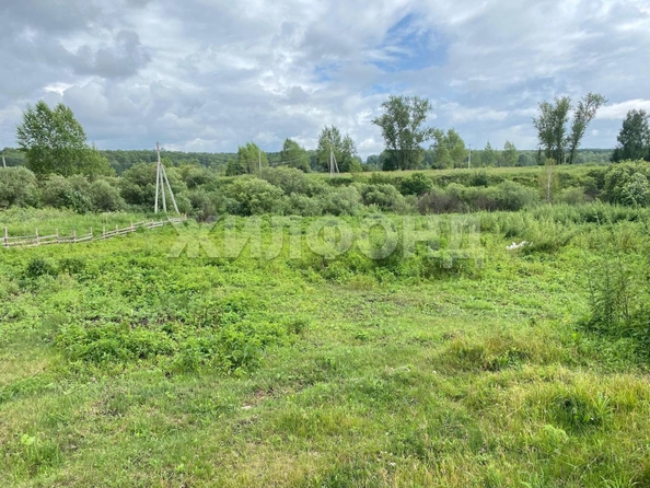 
  Продается дом, 41.6 м², деревня Барсуково
. Фото 6.