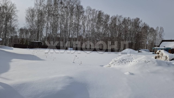 
  Продам  дачный участок, 15.06 соток, Новокаменка

. Фото 2.