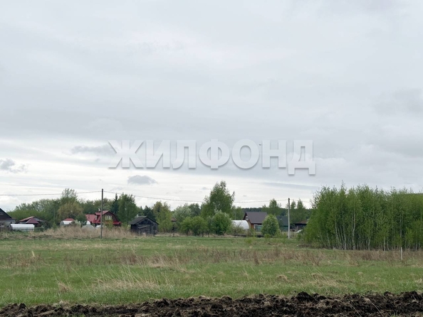 
  Продается земельный участок, 15 соток, село Береговое
. Фото 7.