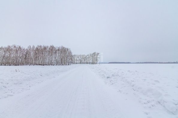 
  Продам  участок ИЖС, 16 соток, Пушкино

. Фото 6.