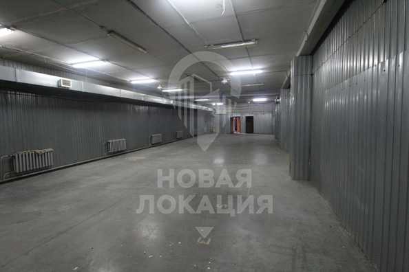 
  Сдается универсальное помещение, 667 м², Линия 24-я ул, д. 59/2
. Фото 11.