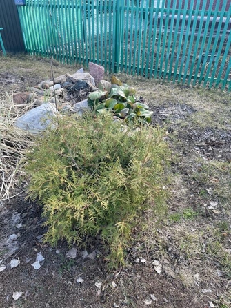 
  Продается дом, 70.9 м², село Дружино
. Фото 28.
