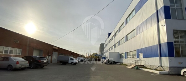 
  Сдается универсальное помещение, 2845 м², Линия 24-я ул, д. 59/2
. Фото 28.