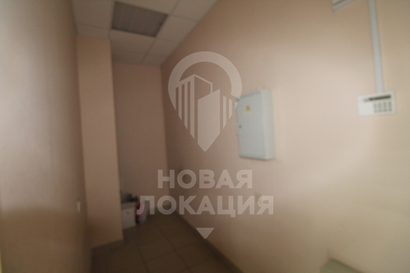 
  Сдается универсальное помещение, 46.3 м², Звездная ул, д. 10
. Фото 11.