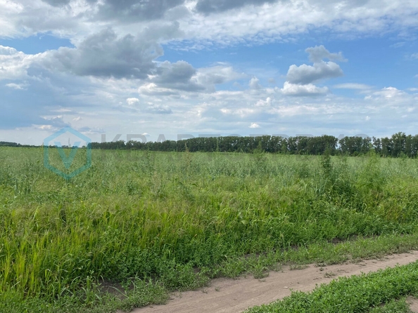 
  Продается земельный участок, 10 соток, микрорайон Омский
. Фото 1.