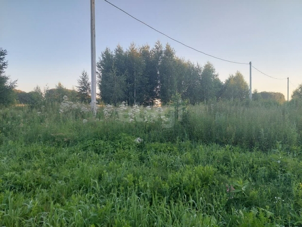 
  Продается земельный участок, 10 соток, село Ребровка
. Фото 4.