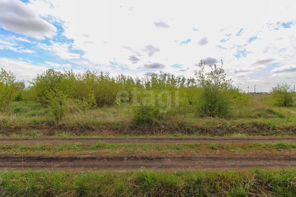 
  Продается земельный участок, 8 соток, село Ребровка
. Фото 1.