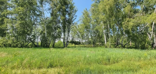 
  Продается земельный участок, 10.25 соток, село Усть-Заостровка
. Фото 1.