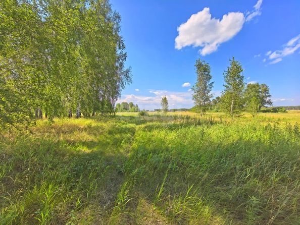 
  Продается земельный участок, 13 соток, село Усть-Заостровка
. Фото 5.