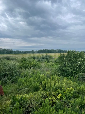 
  Продается земельный участок, 20 соток, село Любино-Малороссы
. Фото 1.