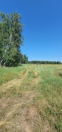 
  Продается земельный участок, 10.31 соток, село Усть-Заостровка
. Фото 3.