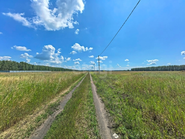 
  Продается земельный участок, 15 соток, село Усть-Заостровка
. Фото 5.