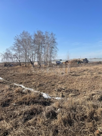 
  Продается земельный участок, 9.5 соток, село Ребровка
. Фото 2.