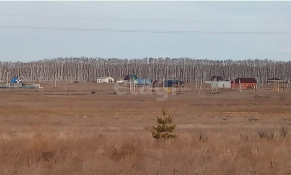 
  Продается земельный участок, 1294 сотки, село Усть-Заостровка
. Фото 2.