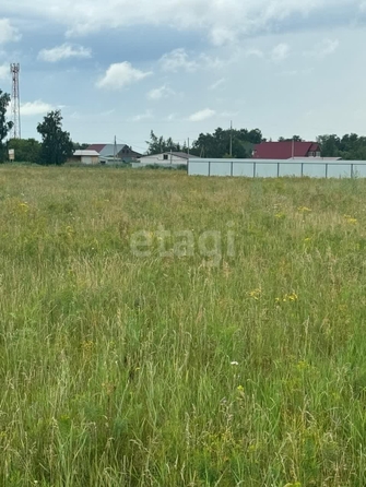 
  Продается земельный участок, 12 соток, поселок Иртышский
. Фото 4.