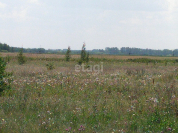 
  Продается земельный участок, 10.9 соток, село Ребровка
. Фото 3.