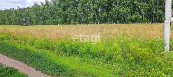 
  Продается земельный участок, 9 соток, село Усть-Заостровка
. Фото 3.