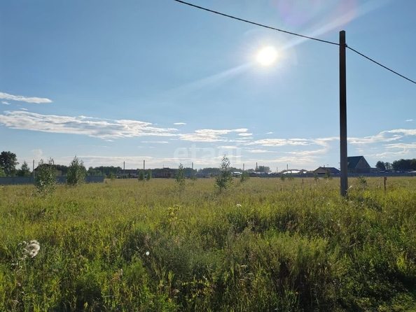 
  Продается земельный участок, 16.2 соток, село Красноярка
. Фото 1.