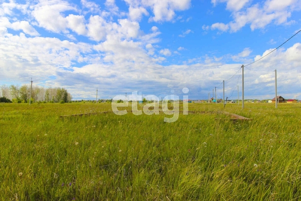
  Продается земельный участок, 10.9 соток, село Ребровка
. Фото 4.