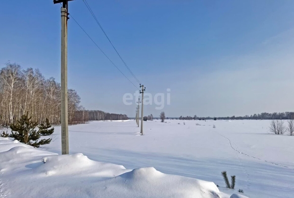
  Продается земельный участок, 14.2 соток, село Красноярка
. Фото 2.
