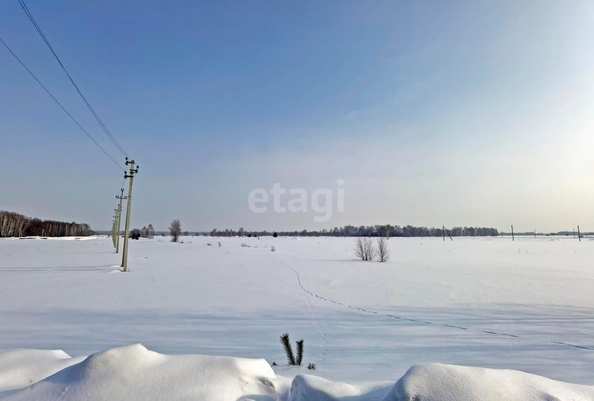 
  Продается земельный участок, 14.2 соток, село Красноярка
. Фото 3.