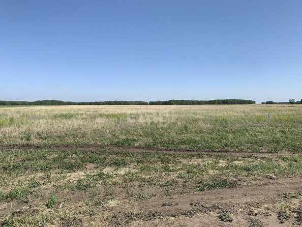 
  Продается земельный участок, 15.7 соток, село Усть-Заостровка
. Фото 2.