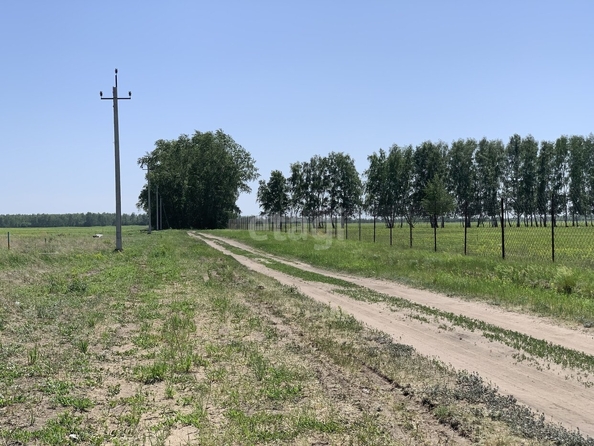 
  Продается земельный участок, 15.7 соток, село Усть-Заостровка
. Фото 4.