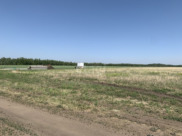 
  Продается земельный участок, 10.5 соток, село Усть-Заостровка
. Фото 3.
