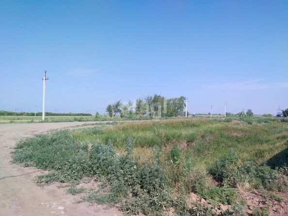 
  Продается земельный участок, 13.8 соток, село Звонарев Кут
. Фото 1.