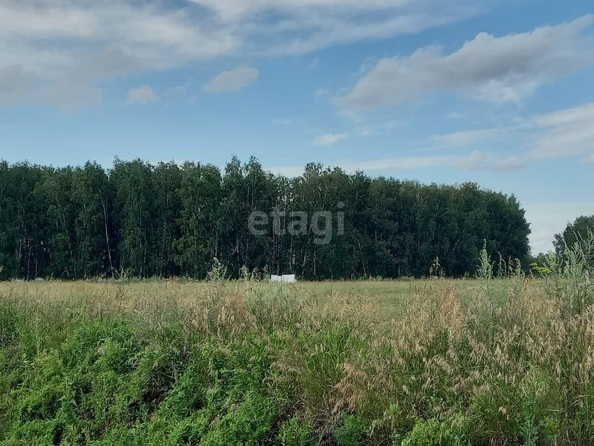 
  Продается земельный участок, 10.9 соток, поселок Магистральный
. Фото 1.