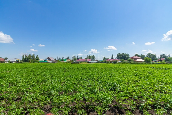 
  Продается земельный участок, 12.4 соток, деревня Пушкино
. Фото 3.