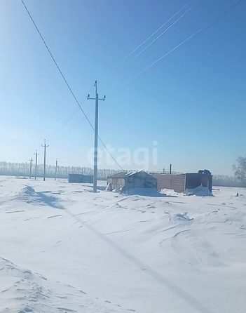 
  Продается земельный участок, 8.2 соток, поселок Ключи
. Фото 4.