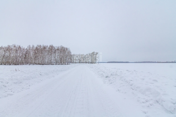 
  Продается земельный участок, 137.7 соток, деревня Пушкино
. Фото 2.