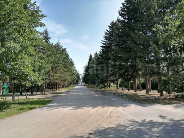 
  Продается земельный участок, 11.16 соток, село Розовка
. Фото 1.