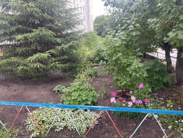 
  Продается 3-комн. квартира, 63.3 м², Жуковского ул, д. 33/1
. Фото 2.