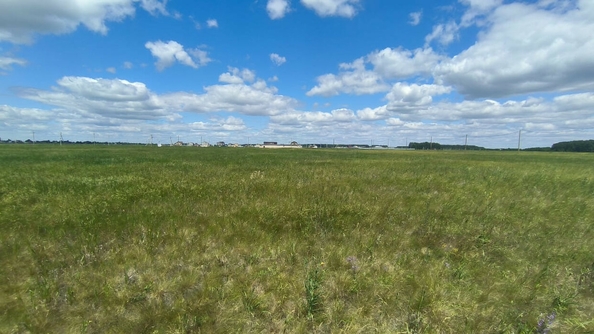 
  Продается земельный участок, 13 соток, село Ребровка
. Фото 4.