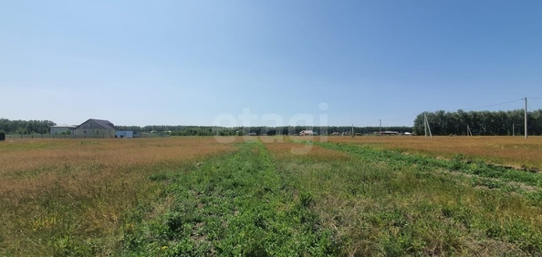 
  Продается земельный участок, 10 соток, село Усть-Заостровка
. Фото 3.