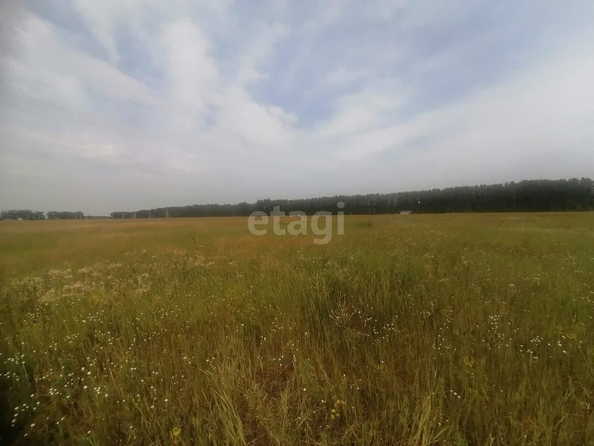 
  Продается земельный участок, 15 соток, село Усть-Заостровка
. Фото 1.