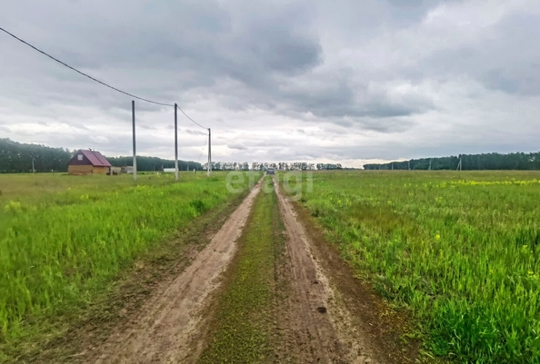 
  Продается земельный участок, 15 соток, село Усть-Заостровка
. Фото 3.