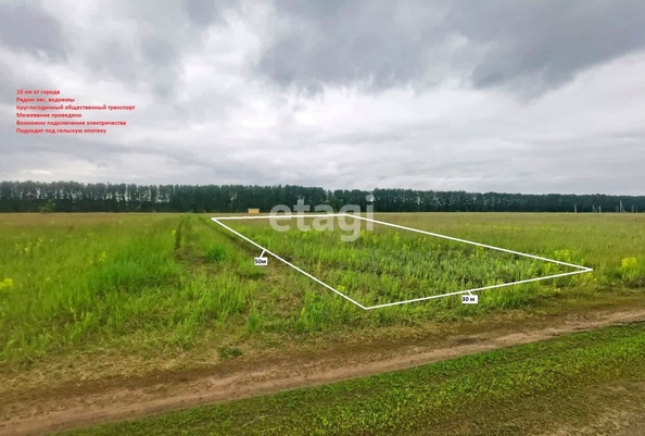 
  Продается земельный участок, 15 соток, село Усть-Заостровка
. Фото 4.