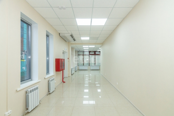 
  Сдается торговая площадь, 75.36 м², Мира пр-кт, д. 46
. Фото 3.