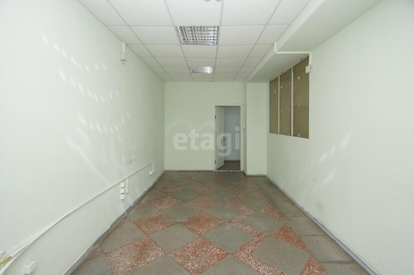 
  Сдается офис, 200 м², 10 лет Октября ул, д. 209к1
. Фото 3.