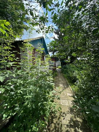 
  Продается дом, 55.8 м², село Дружино
. Фото 3.