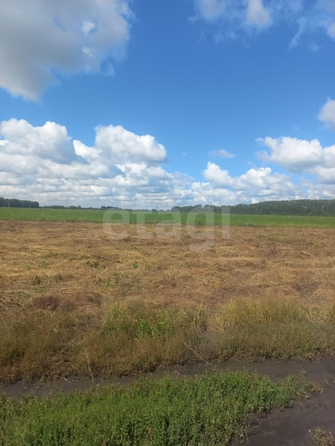 
  Продается земельный участок, 10 соток, микрорайон Омский
. Фото 1.