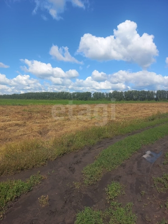 
  Продается земельный участок, 10 соток, микрорайон Омский
. Фото 3.