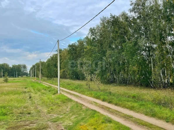 
  Продается земельный участок, 11.2 соток, село Усть-Заостровка
. Фото 2.