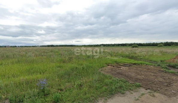 
  Продается земельный участок, 8.16 соток, село Розовка
. Фото 4.