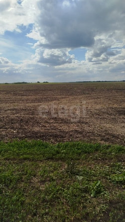 
  Продается земельный участок, 1390 соток, село Борисовское
. Фото 1.
