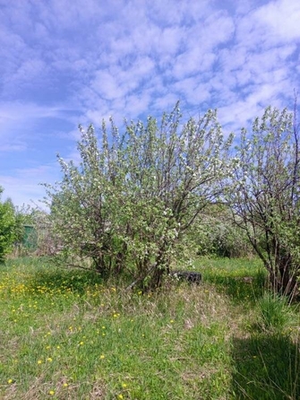 
  Продается дом, 20 м², Омск
. Фото 1.